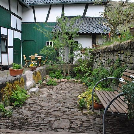 Ferienwohnungen Tuermchen Gemünd Exteriér fotografie